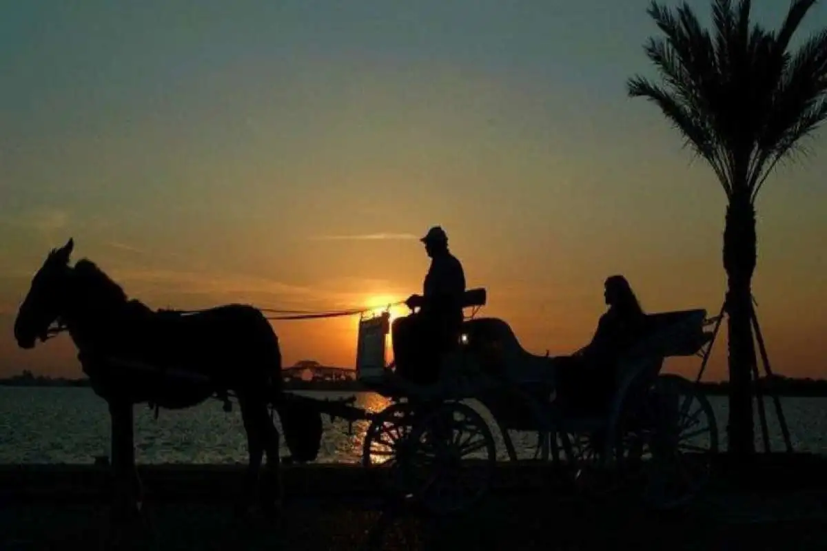 Aswan city tour by horse carriage